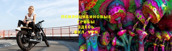 дживик Навашино