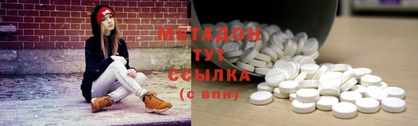 прущие грибы Верея