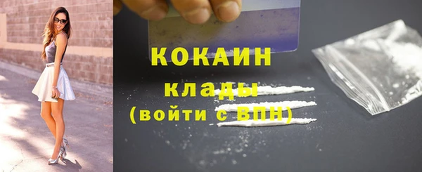 дживик Навашино