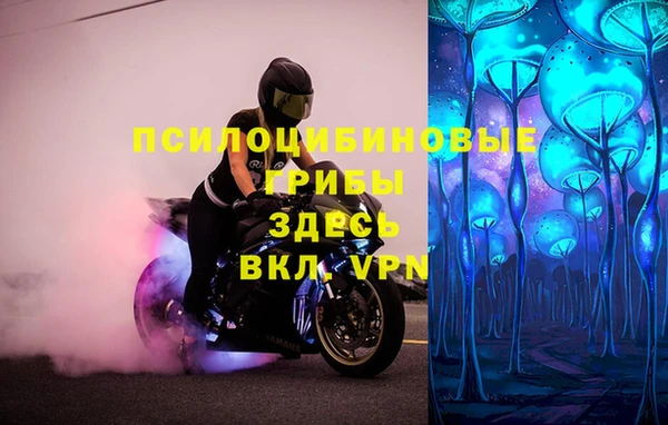 дживик Навашино