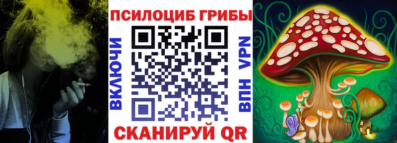 закладки  Бердск  Псилоцибиновые грибы мицелий 