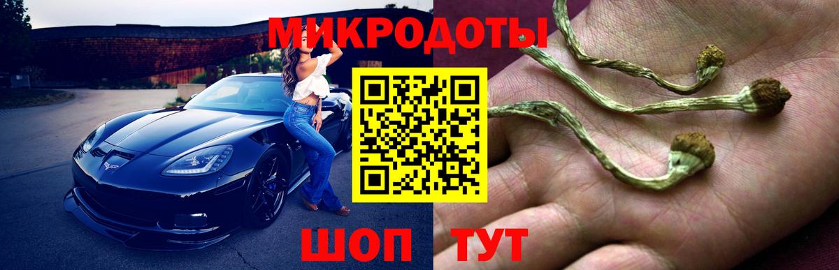 Галлюциногенные грибы мицелий  Псилоцибиновые грибы прущие грибы  Бердск  Вход с VPN 